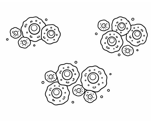 Line drawing of 3 groups of cells
